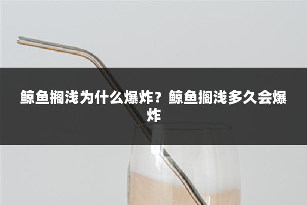 鲸鱼搁浅为什么爆炸?鲸鱼搁浅多久会爆炸