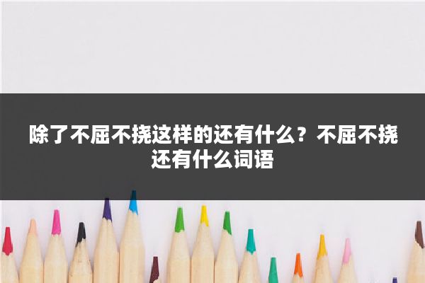 除了不屈不挠这样的还有什么？不屈不挠还有什么词语