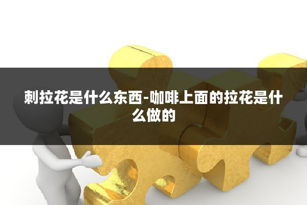 刺拉花是什么东西-咖啡上面的拉花是什么做的