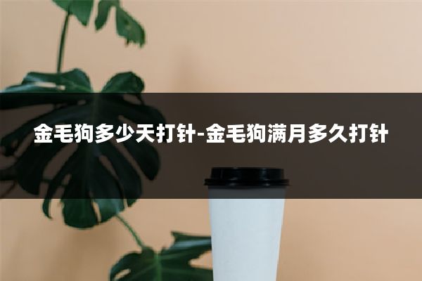 金毛狗多少天打针-金毛狗满月多久打针