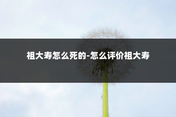 祖大寿怎么死的-怎么评价祖大寿
