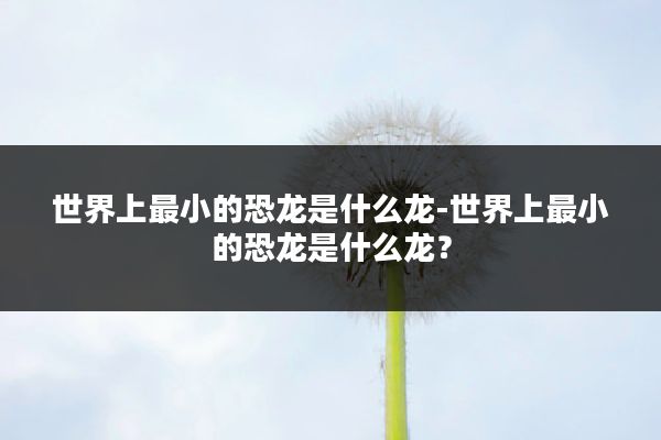 世界上最小的恐龙是什么龙-世界上最小的恐龙是什么龙?