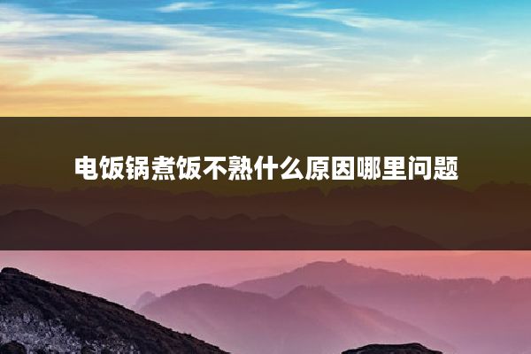 电饭锅煮饭不熟什么原因哪里问题