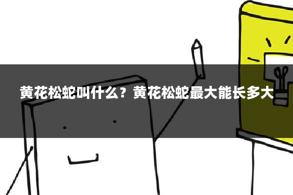 黄花松蛇叫什么?黄花松蛇最大能长多大
