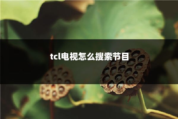 tcl电视怎么搜索节目