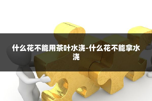 什么花不能用茶叶水浇-什么花不能拿水浇