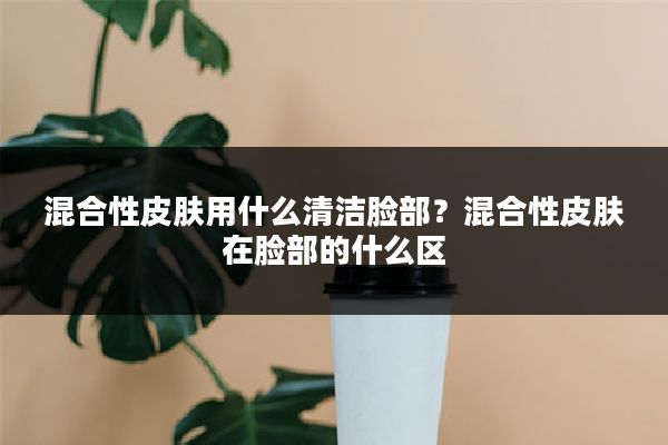 混合性皮肤用什么清洁脸部?混合性皮肤在脸部的什么区