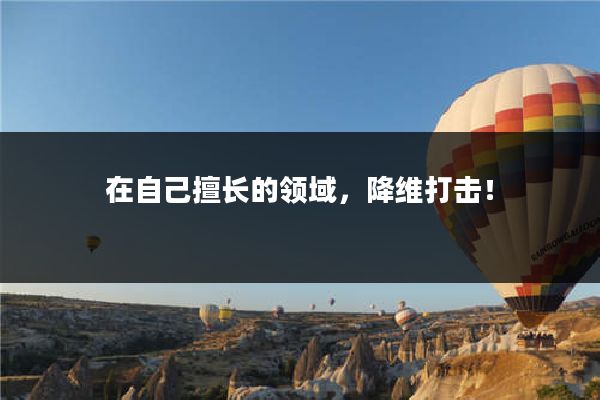 在自己擅长的领域,降维打击!