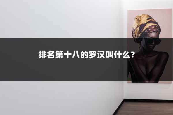 排名第十八的罗汉叫什么？