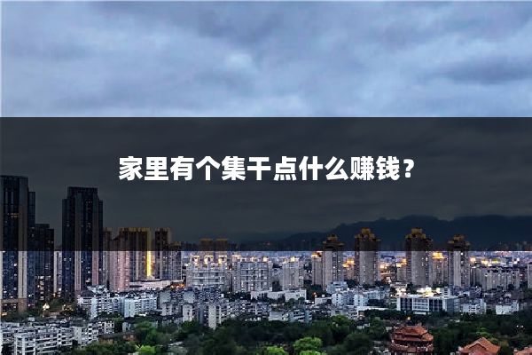 家里有个集干点什么赚钱？