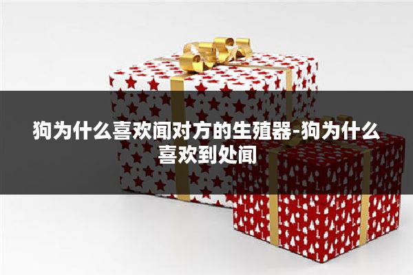 狗为什么喜欢闻对方的生殖器-狗为什么喜欢到处闻