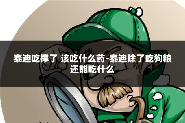 泰迪吃撑了 该吃什么药-泰迪除了吃狗粮还能吃什么
