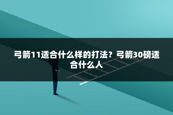 弓箭11适合什么样的打法？弓箭30磅适合什么人