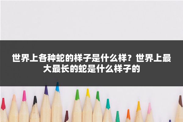 世界上各种蛇的样子是什么样?世界上最大最长的蛇是什么样子的
