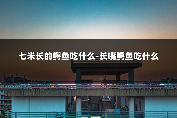 七米长的鳄鱼吃什么-长嘴鳄鱼吃什么