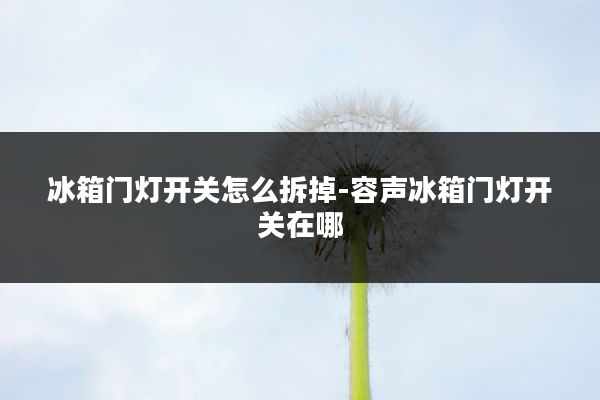 冰箱门灯开关怎么拆掉-容声冰箱门灯开关在哪