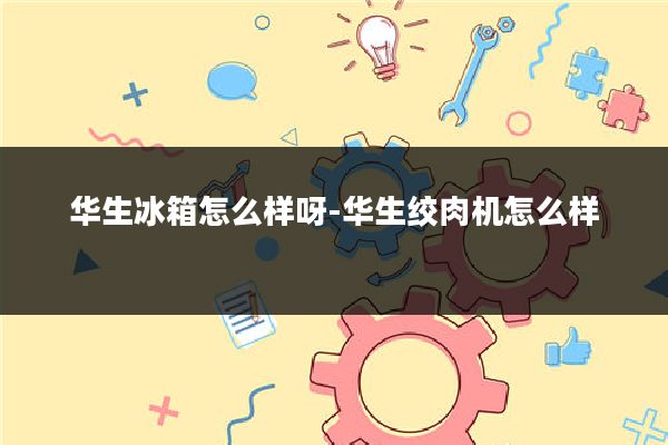 华生冰箱怎么样呀-华生绞肉机怎么样