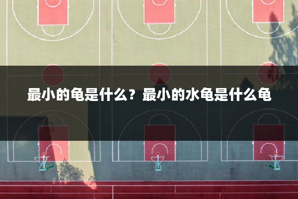 最小的龟是什么?最小的水龟是什么龟