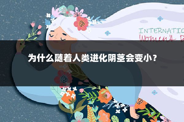 为什么随着人类进化阴茎会变小?