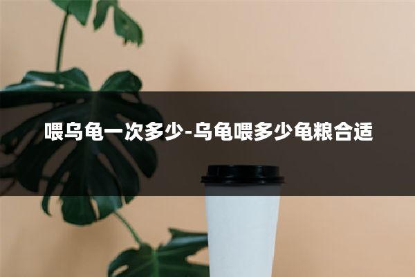 喂乌龟一次多少-乌龟喂多少龟粮合适