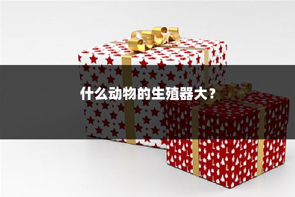 什么动物的生殖器大?