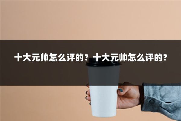 十大元帅怎么评的?十大元帅怎么评的?