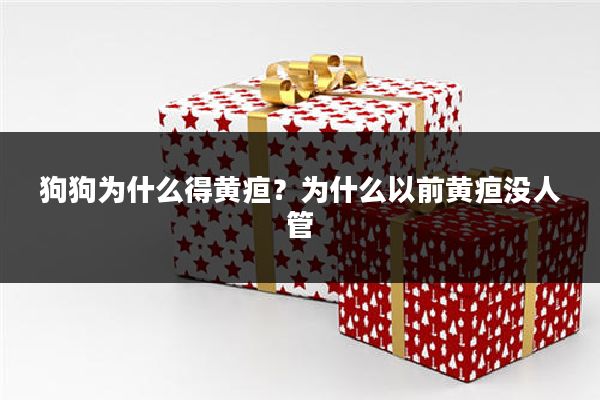狗狗为什么得黄疸？为什么以前黄疸没人管