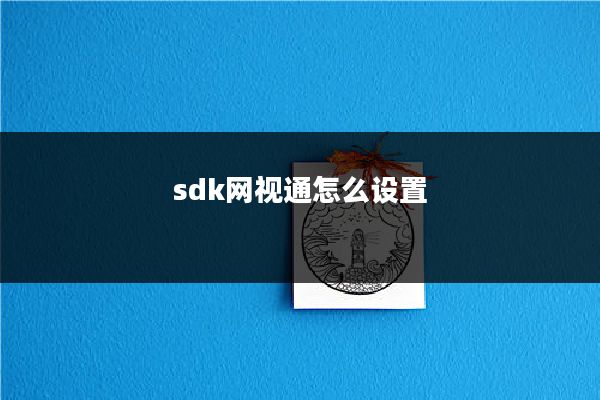 sdk网视通怎么设置