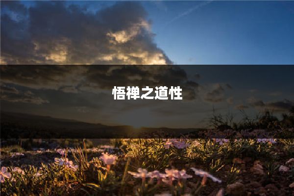 悟禅之道性