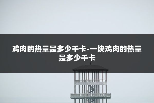 鸡肉的热量是多少千卡-一块鸡肉的热量是多少千卡