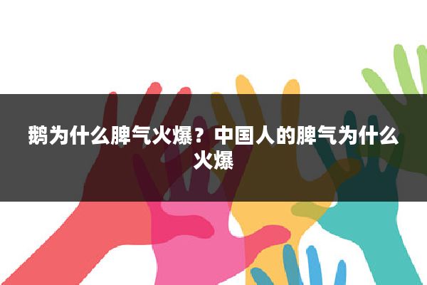 鹅为什么脾气火爆?中国人的脾气为什么火爆