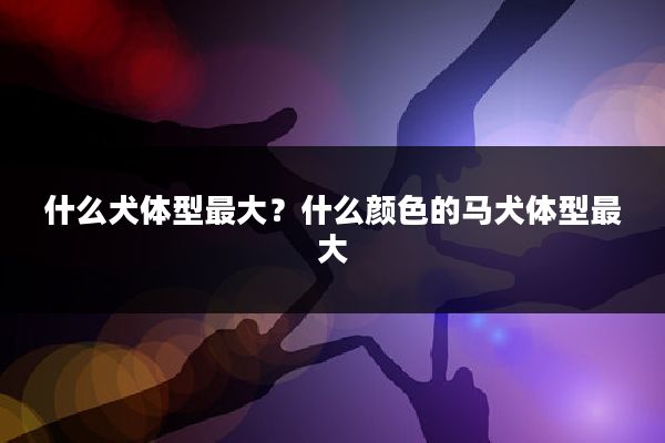 什么犬体型最大?什么颜色的马犬体型最大
