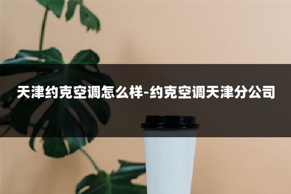 天津约克空调怎么样-约克空调天津分公司