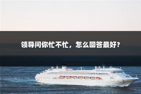 领导问你忙不忙，怎么回答最好？