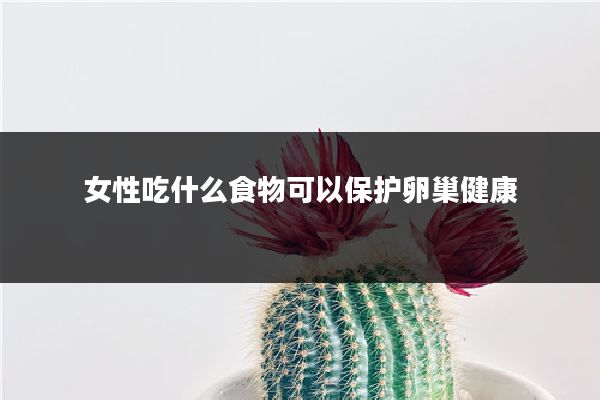 女性吃什么食物可以保护卵巢健康