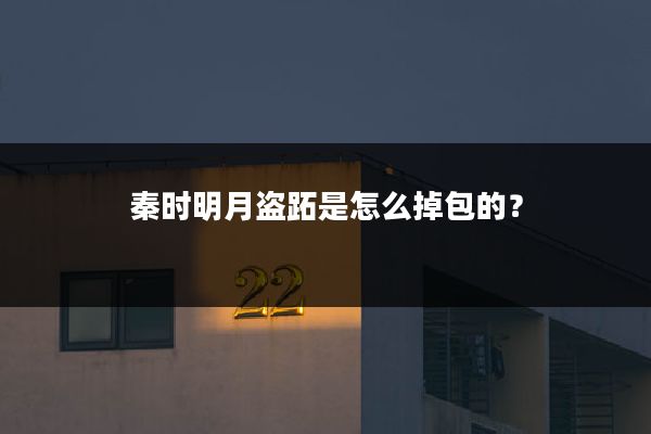 秦时明月盗跖是怎么掉包的?