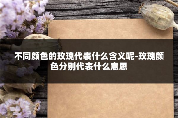 不同颜色的玫瑰代表什么含义呢-玫瑰颜色分别代表什么意思