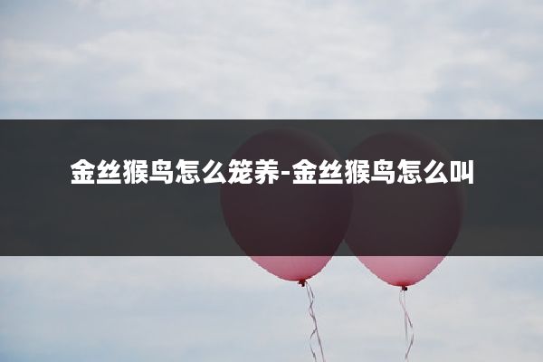 金丝猴鸟怎么笼养-金丝猴鸟怎么叫