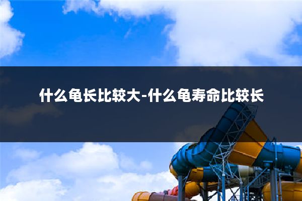 什么龟长比较大-什么龟寿命比较长