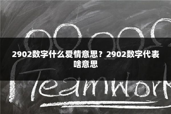 2902数字什么爱情意思?2902数字代表啥意思