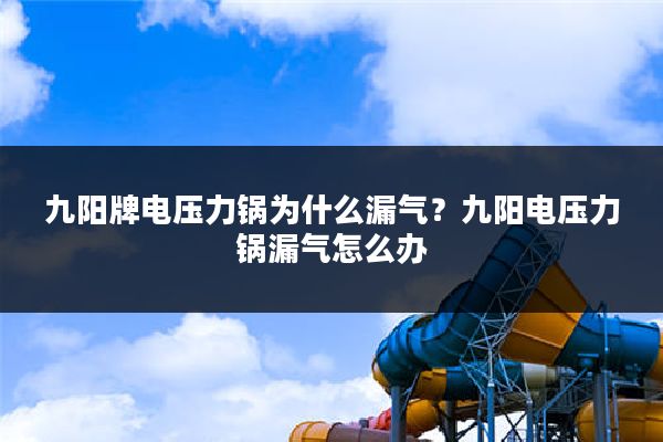 九阳牌电压力锅为什么漏气？九阳电压力锅漏气怎么办