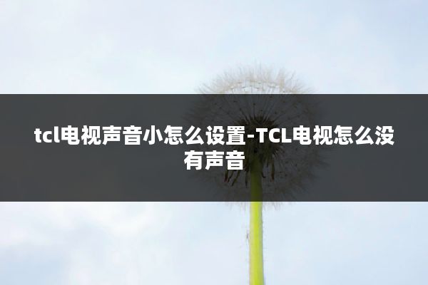 tcl电视声音小怎么设置-TCL电视怎么没有声音