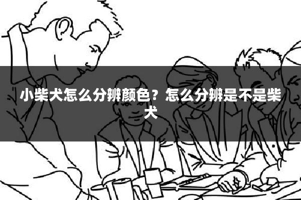 小柴犬怎么分辨颜色?怎么分辨是不是柴犬