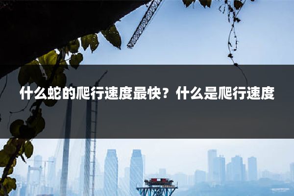 什么蛇的爬行速度最快?什么是爬行速度