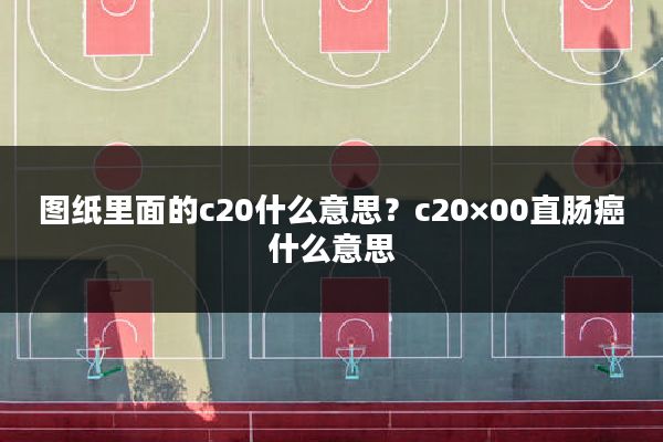 图纸里面的c20什么意思?c20×00直肠癌什么意思