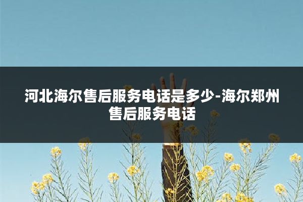河北海尔售后服务电话是多少-海尔郑州售后服务电话