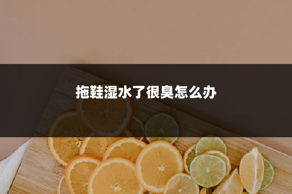 拖鞋湿水了很臭怎么办