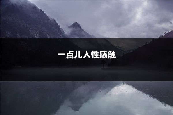 一点儿人性感触