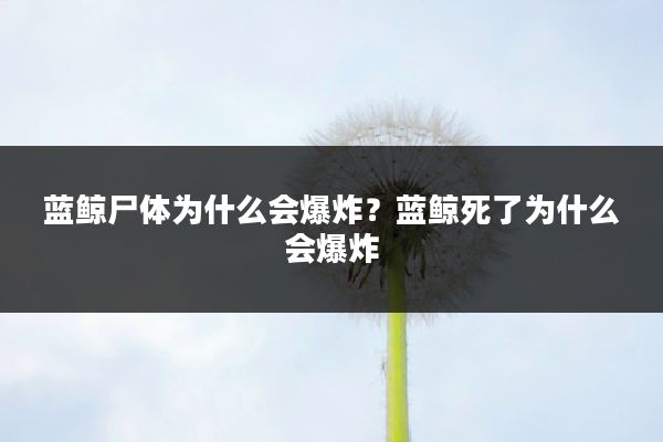 蓝鲸尸体为什么会爆炸?蓝鲸死了为什么会爆炸