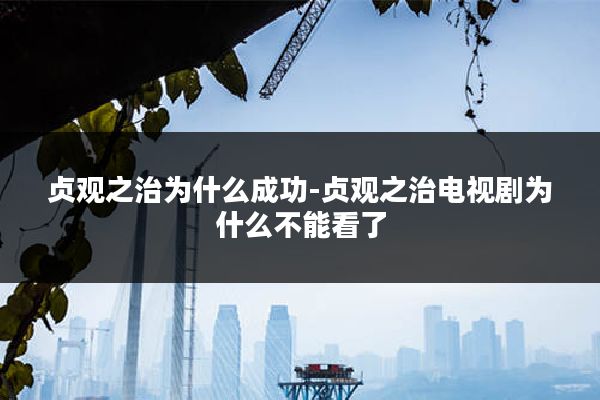 贞观之治为什么成功-贞观之治电视剧为什么不能看了